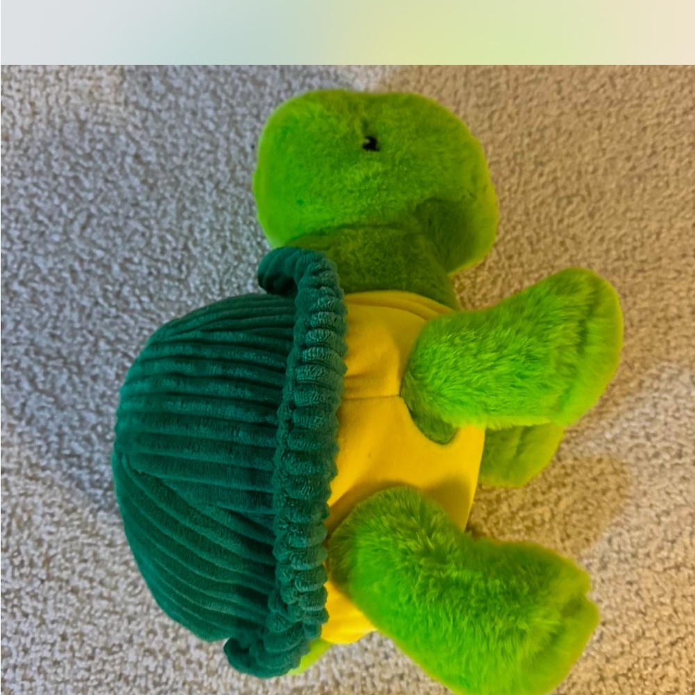 Green Plush Turtle Toy